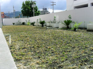 impermeabilizante-recubrimientos-especiales-roof-garden